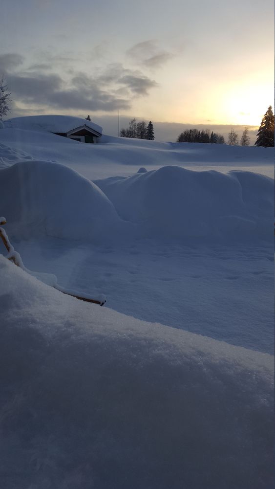 Holmsveden i Gävleborgs län i vacker vinterskrud!