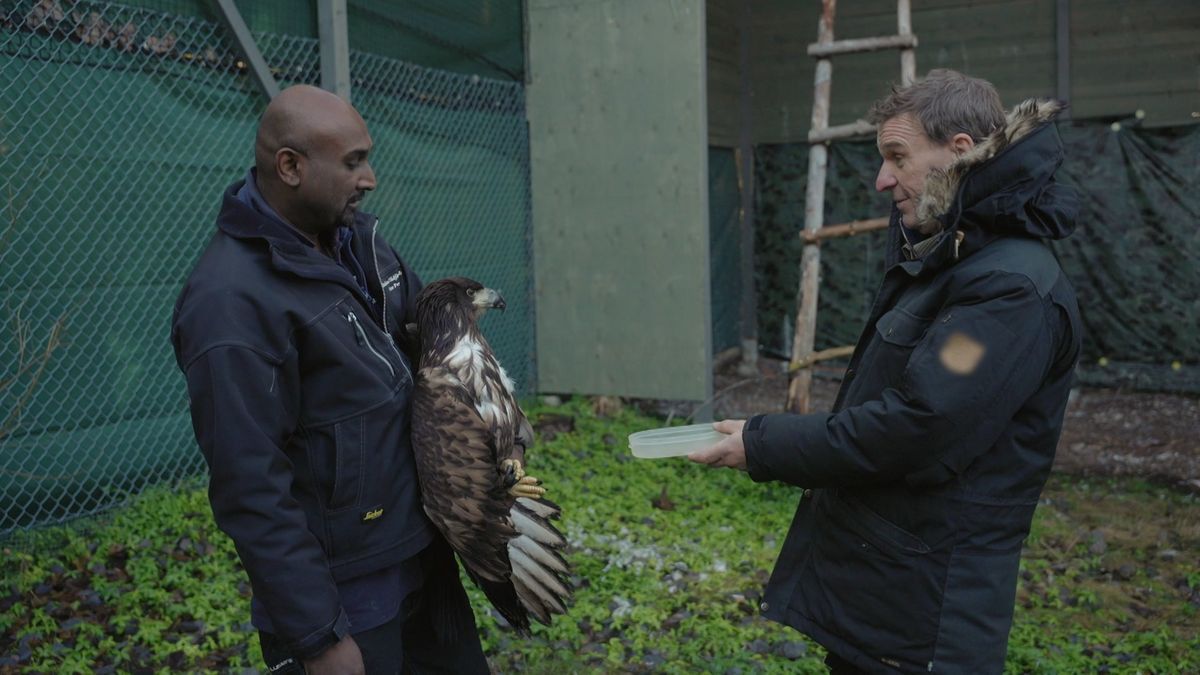 Eldsjälen Victor håller en örn och Anders Lundin i vinterjacka, foto från tv-serien ”Våra vilda grannar”
