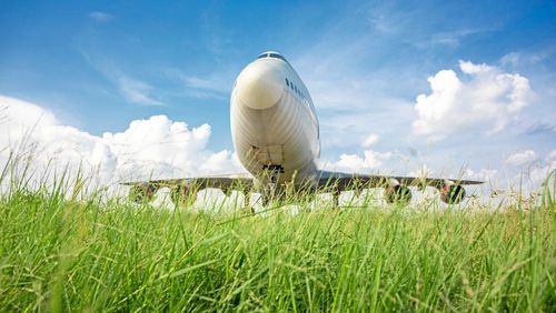 Gräsmarker vid våra flygplatser ger unika förutsättningar för ovanliga arter att överleva.