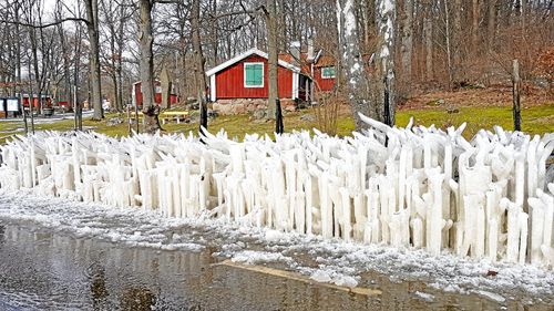 Bilden är tagen av Birgitta och Kjell Forsbrand i Nättraby.
