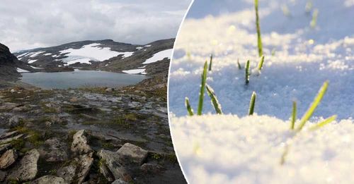 (Bilden från Låktatjåkka är tagen vid ett annat tillfälle)