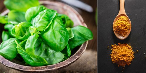 Basilika eller Curry som förnamn? Ja, det är inte bara kryddor eller örter som bär de namnen utan personer också. Kolla in listan!