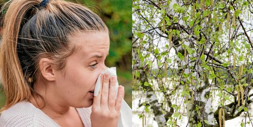 Börja behandlingen i god tid så har du större chans att bli av med eller lindra besvären med pollenallergi.