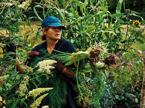 Med Toves recept får örterna sätta smakerna