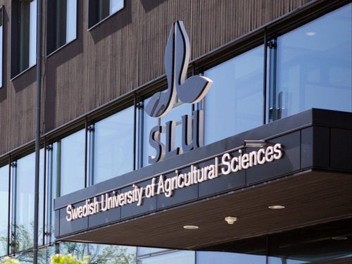Ökat intresse för SLU:s utbildningar