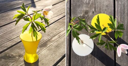 Fin plats för den lilla blomman.