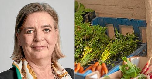 En del av pengarna från landsbygdsprogrammet har använts till att stödjaReko-ringar, som använder Facebookgrupper för att sälja livsmedel.