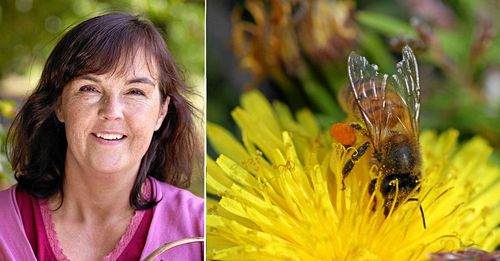 Det måste finnas bin. Annars blir det tyst, hårt och ensamt. Foto: Kristina Bäckström