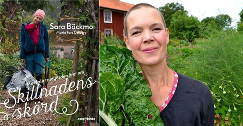 Sara Bäckmos nya bok rusade direkt upp på topplistan när den var tillgänglig för förhandsbeställningar.