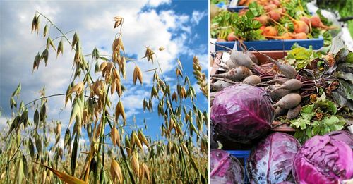 Nu blir det lättare för fler att handla närproducerat.