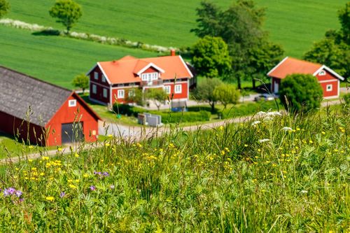 Den gemensamma avtalsmallen ska bli ett stöd för företagare inom de gröna näringarna.