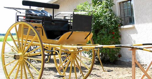 Vill du åka ståndsmässigt kan du ta chansen och hitta din drömvagn på en unik auktion i Vara.