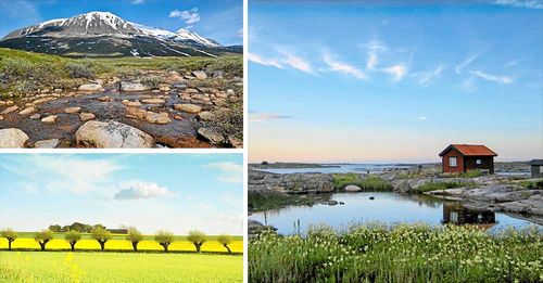 Det är lätt att ta allemansrätten för given. Visit Sweden har tagit fasta på den och listar hela den Svenska naturen på bokningssajten Aribnb.