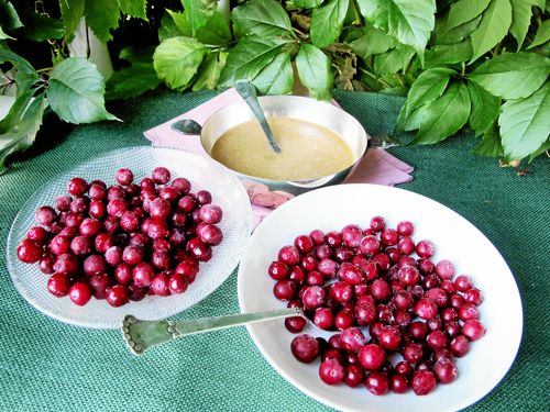 Ett superbär med superkrafter. Foto lillemor hvitfeldt