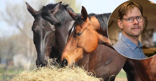 Risken för grovfoderbrist är överhängande. Ska det vända krävs att vi har vädrets makter med oss, säger Anders Drottja på LRF.