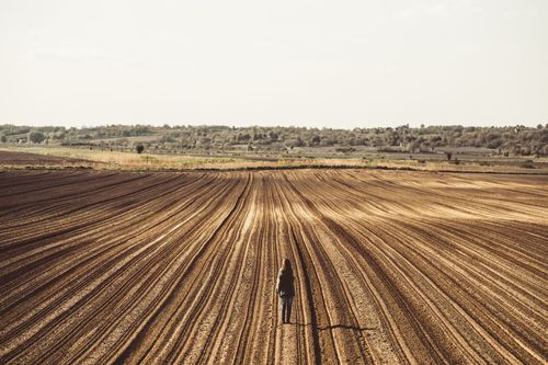 I storstäderna tror 62 procent på en god ekonomisk utveckling, jämfört med 35 på landet.